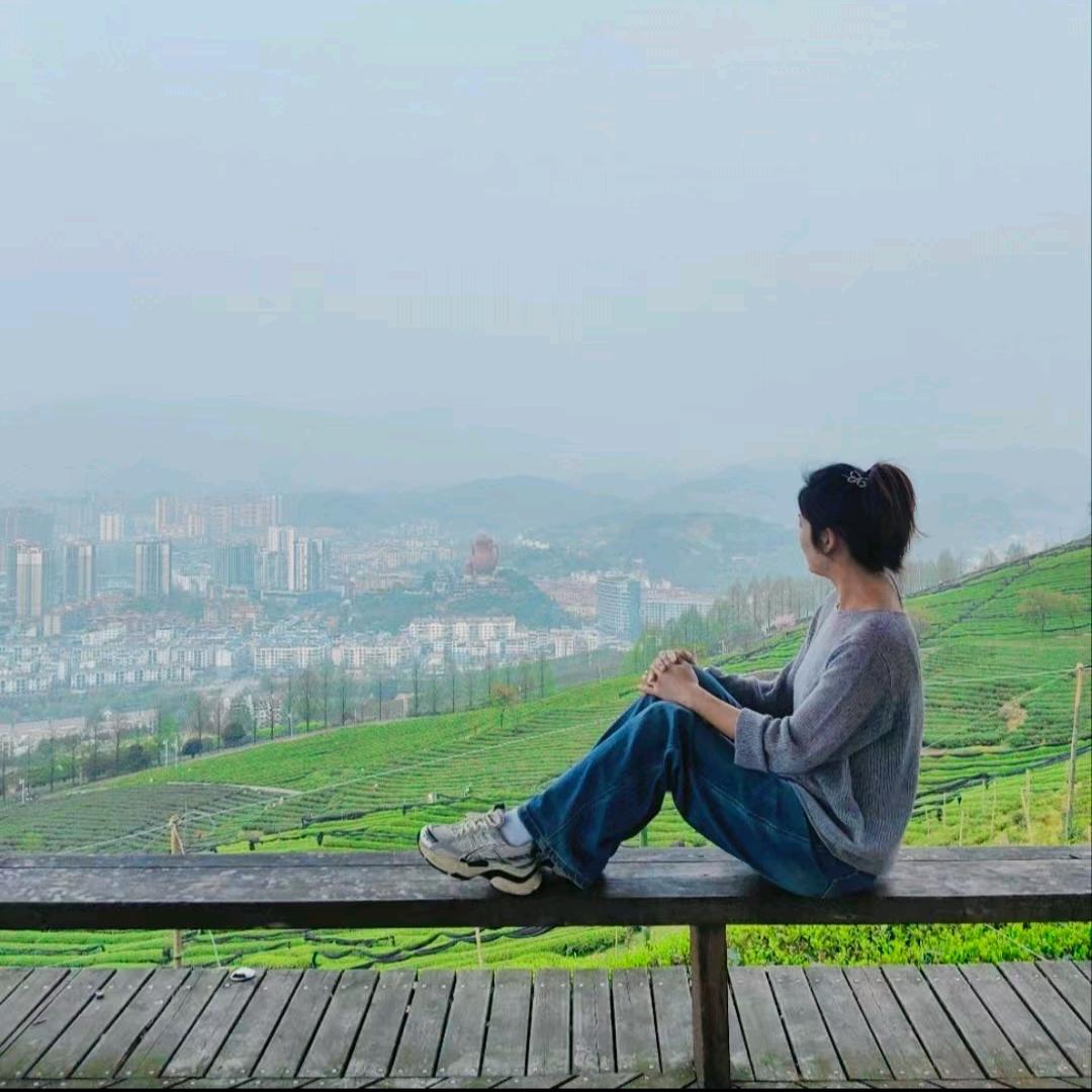 茶旅阿莉