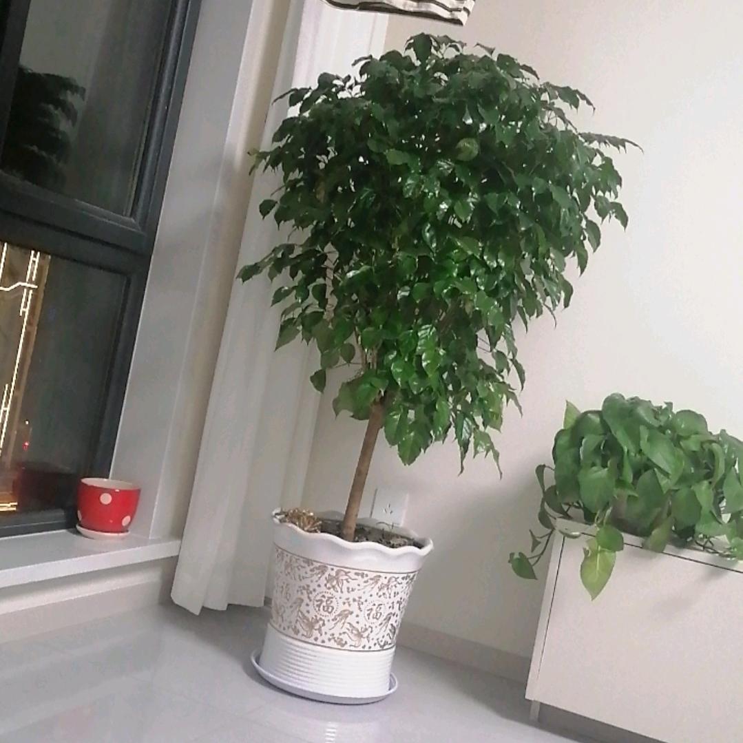 我的快乐，，，，