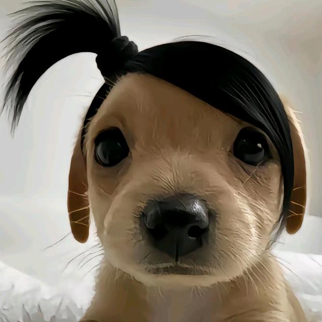 Ⱄⱄᐝ