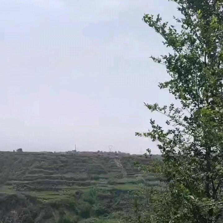 阿睿