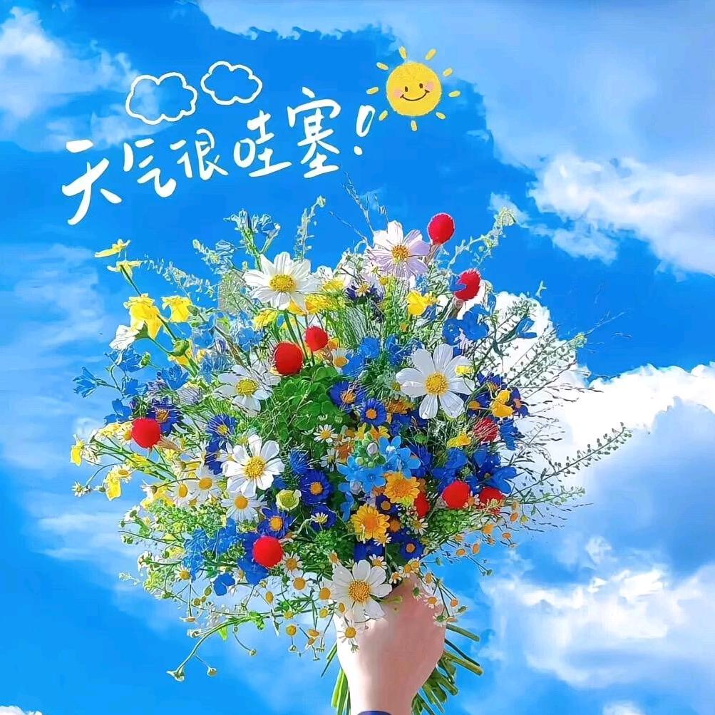 taozi29022