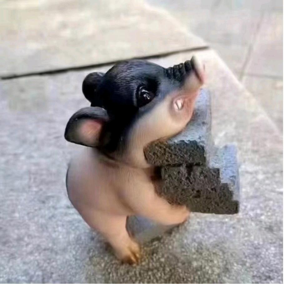 、皮皮皮皮皮皮皮皮卡丘