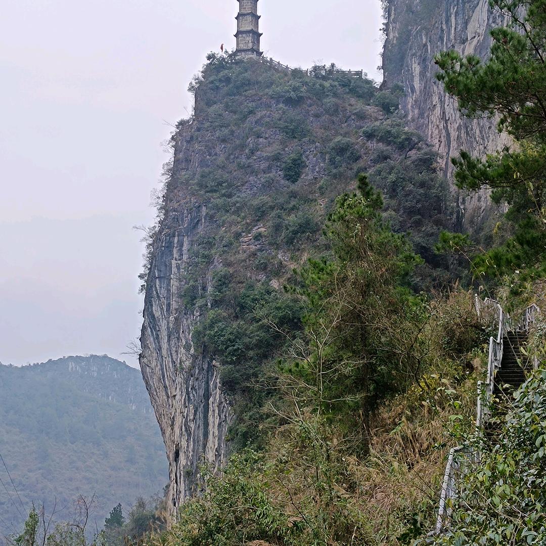 时刻有钱进