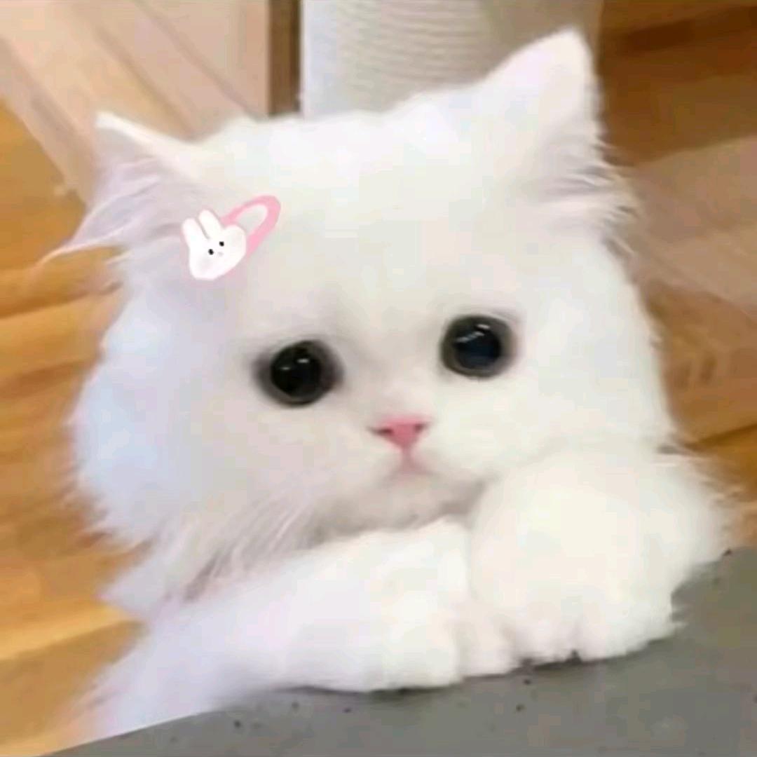 岁月L໊ₒᨶ႒ᩚ静ᵥ̶ₑ̶ᩚ好