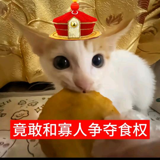 澹吾虑