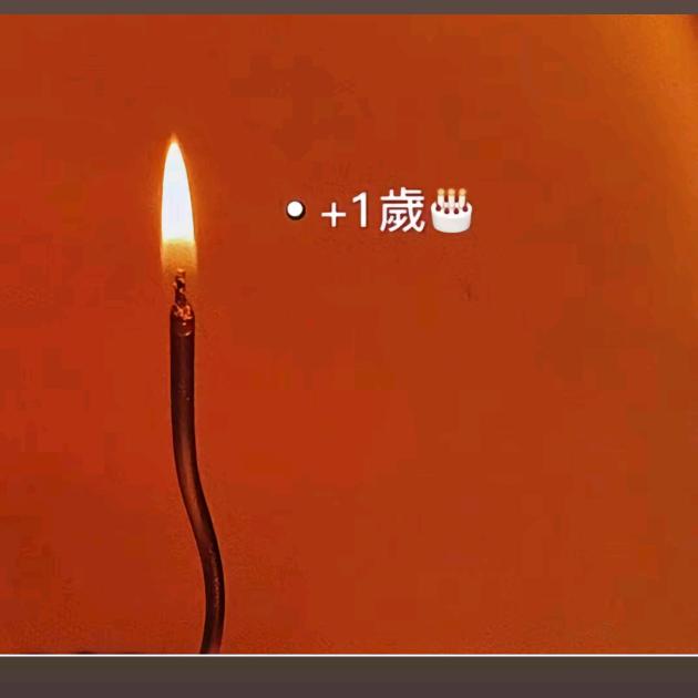 刀哥俩好