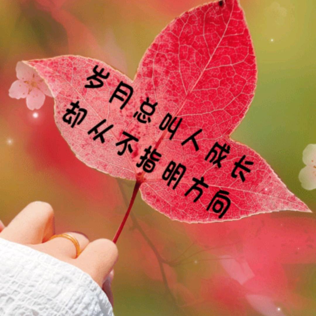 奈我何.@