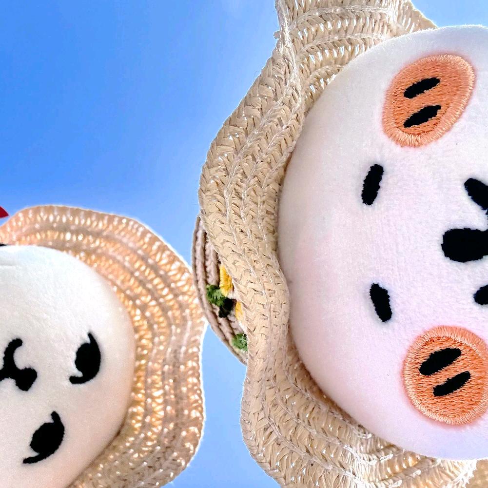 喵喵喵喵喵喵喵喵咪