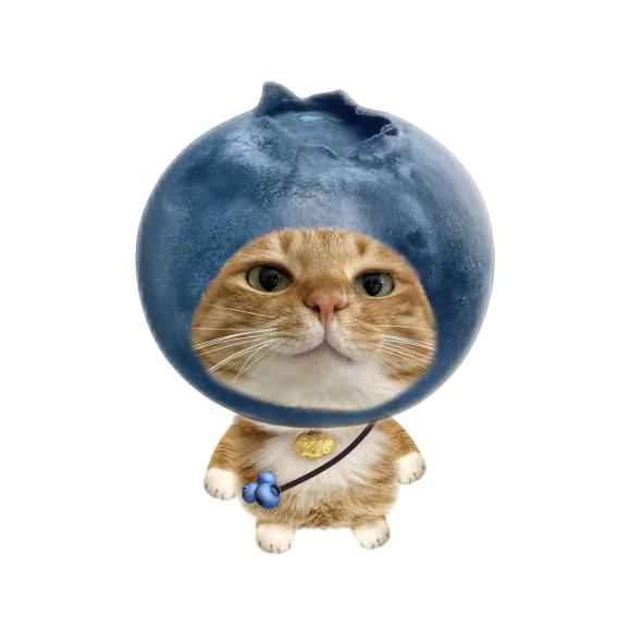 猕猴桃拌饭