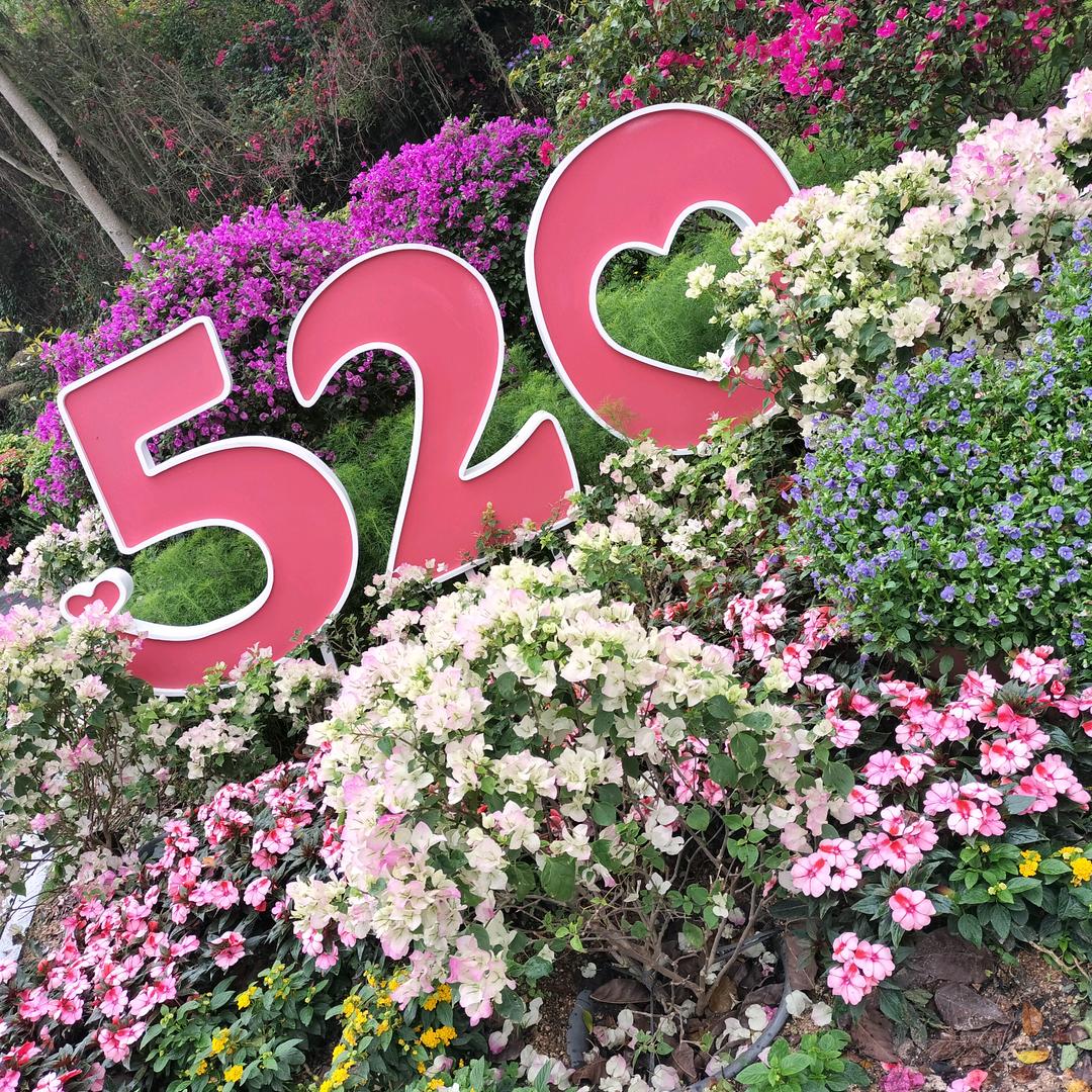 ꕥ᭄安💞然ꦿᩚ࿐⁵²ᐤ