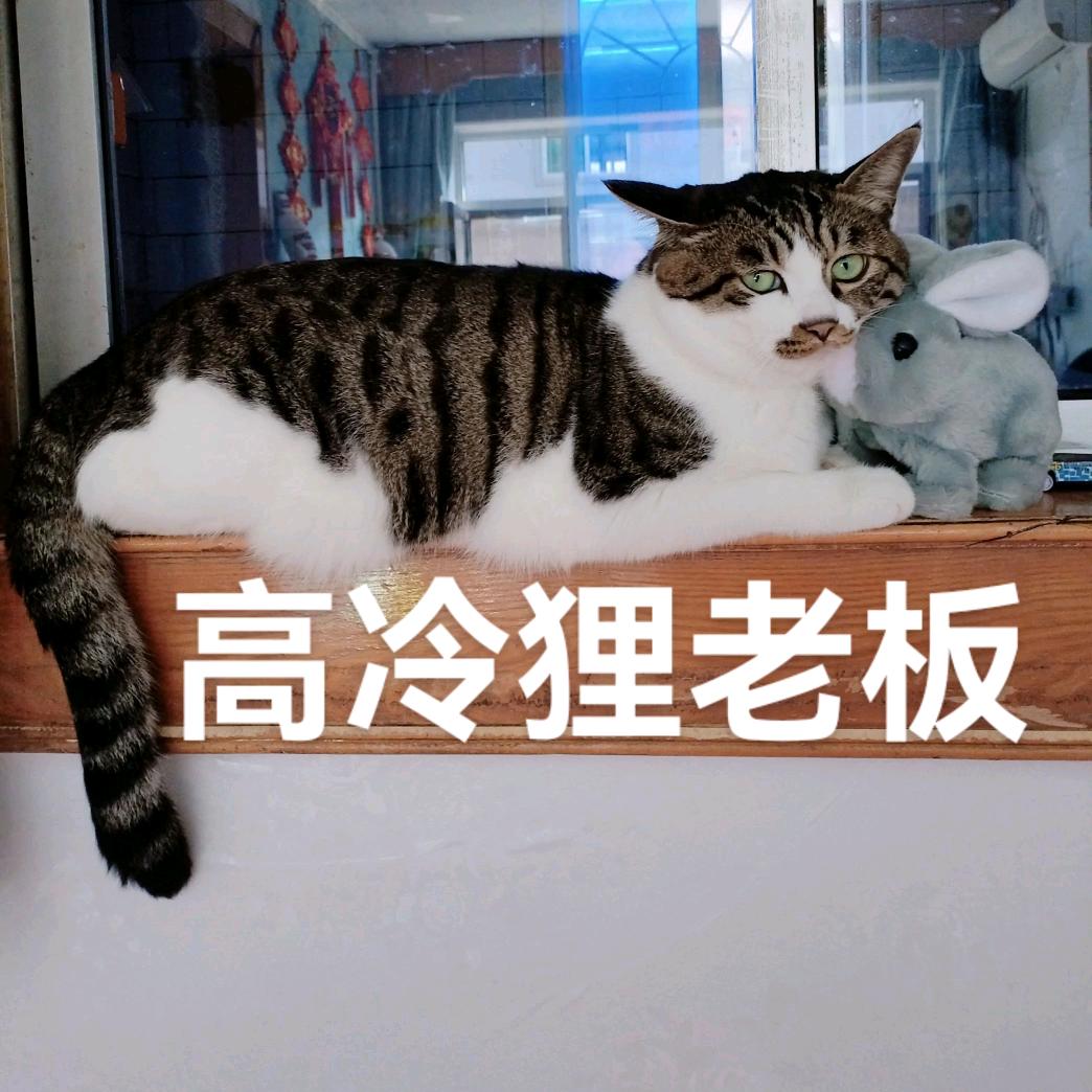 狸小丸