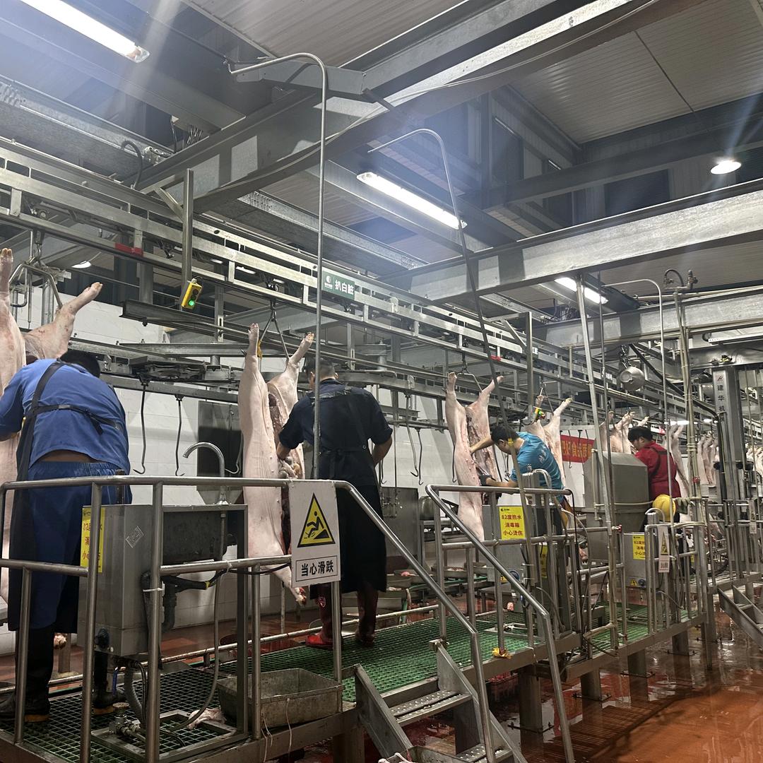 吴欣桦的小小屠宰厂