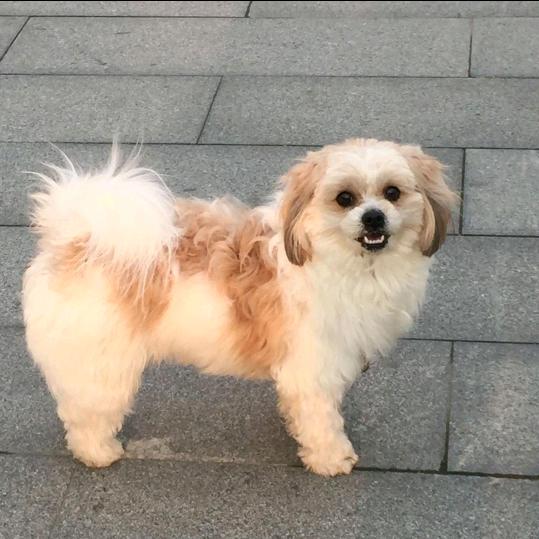 闲云野鹤