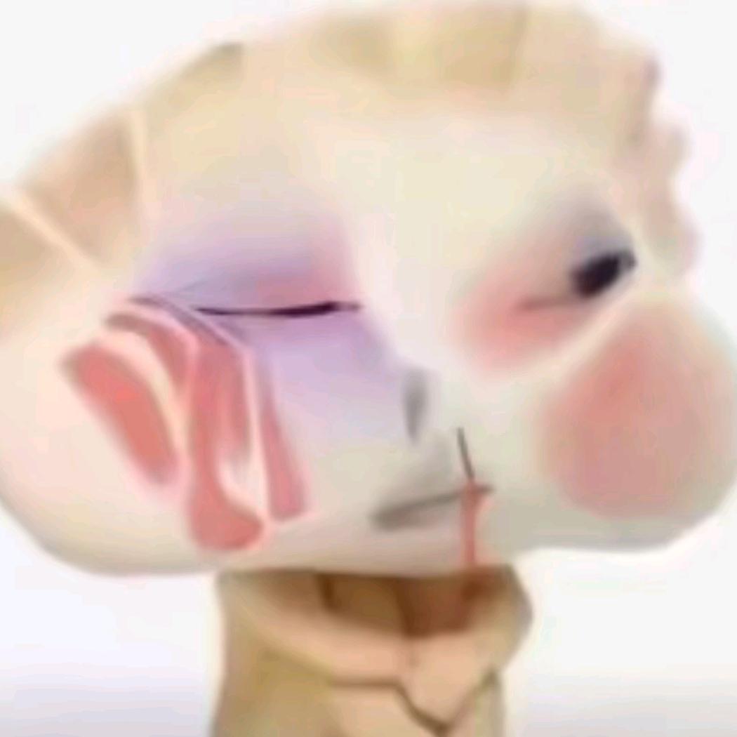 别打啦！！！！