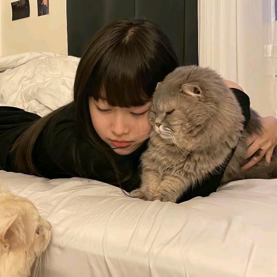 不要⁷骗