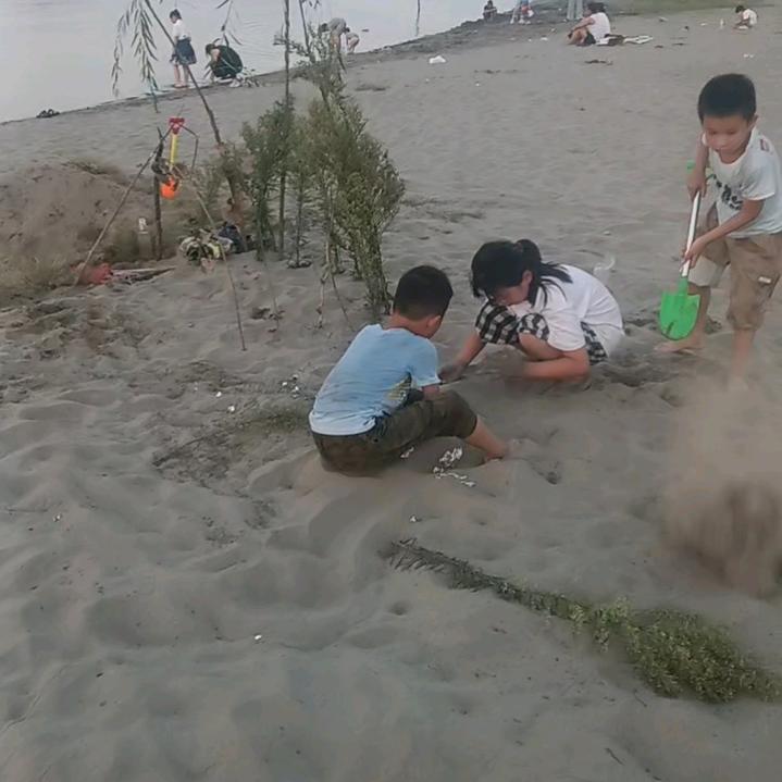 贾晨菲