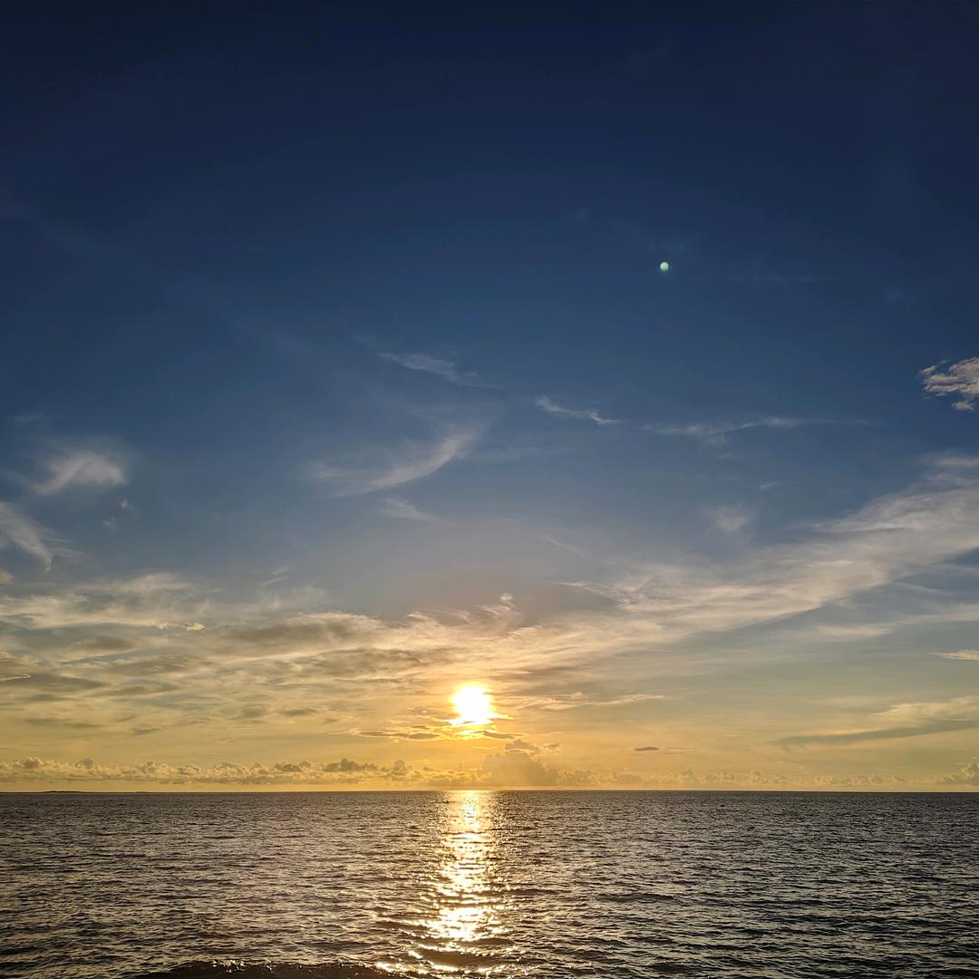 丙张立晔