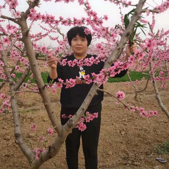 红姐