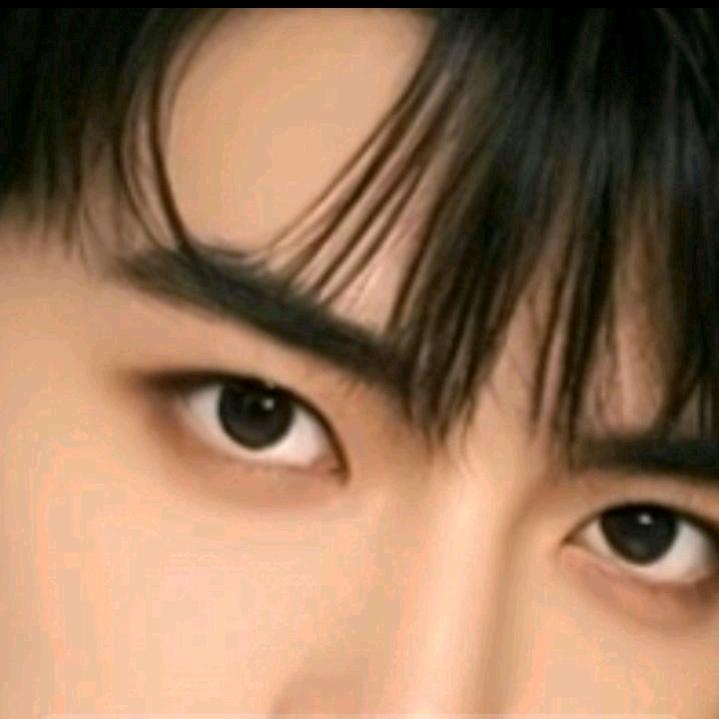 巅峰Xy🐴🐴🐴