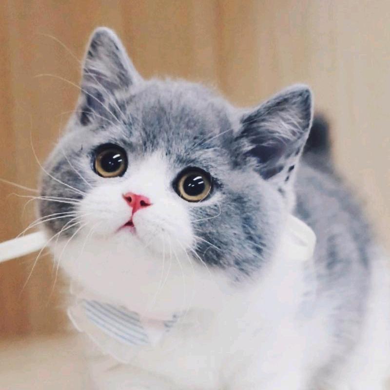 元