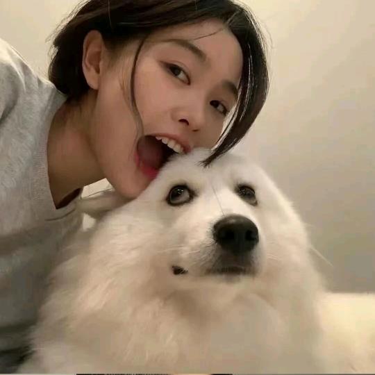 易安.