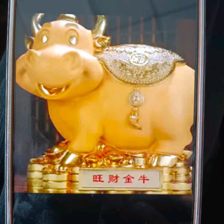 用户5151629638576金钱树