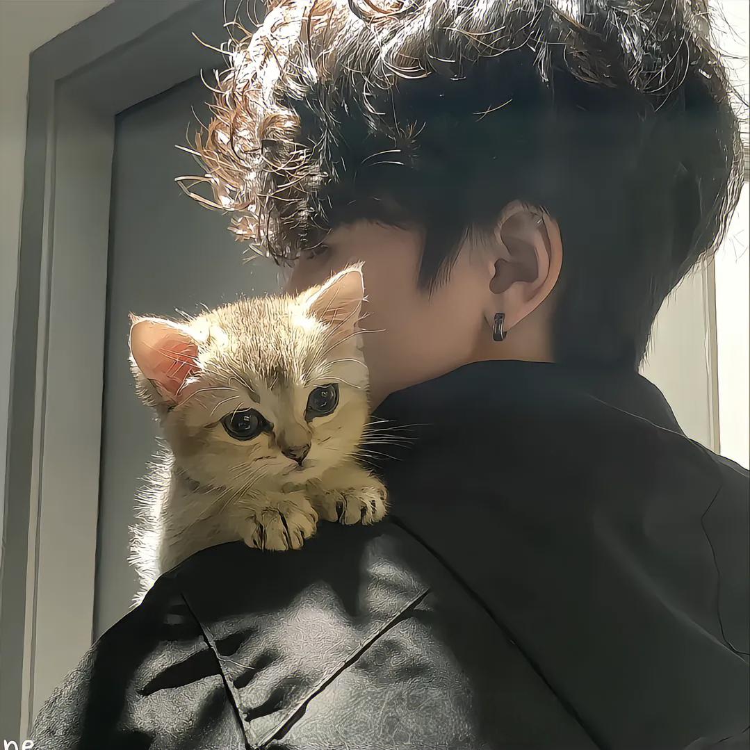且听风吟