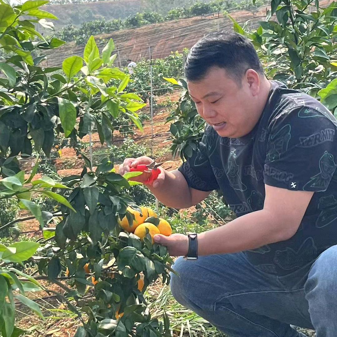 黄石驾校汪敦裕