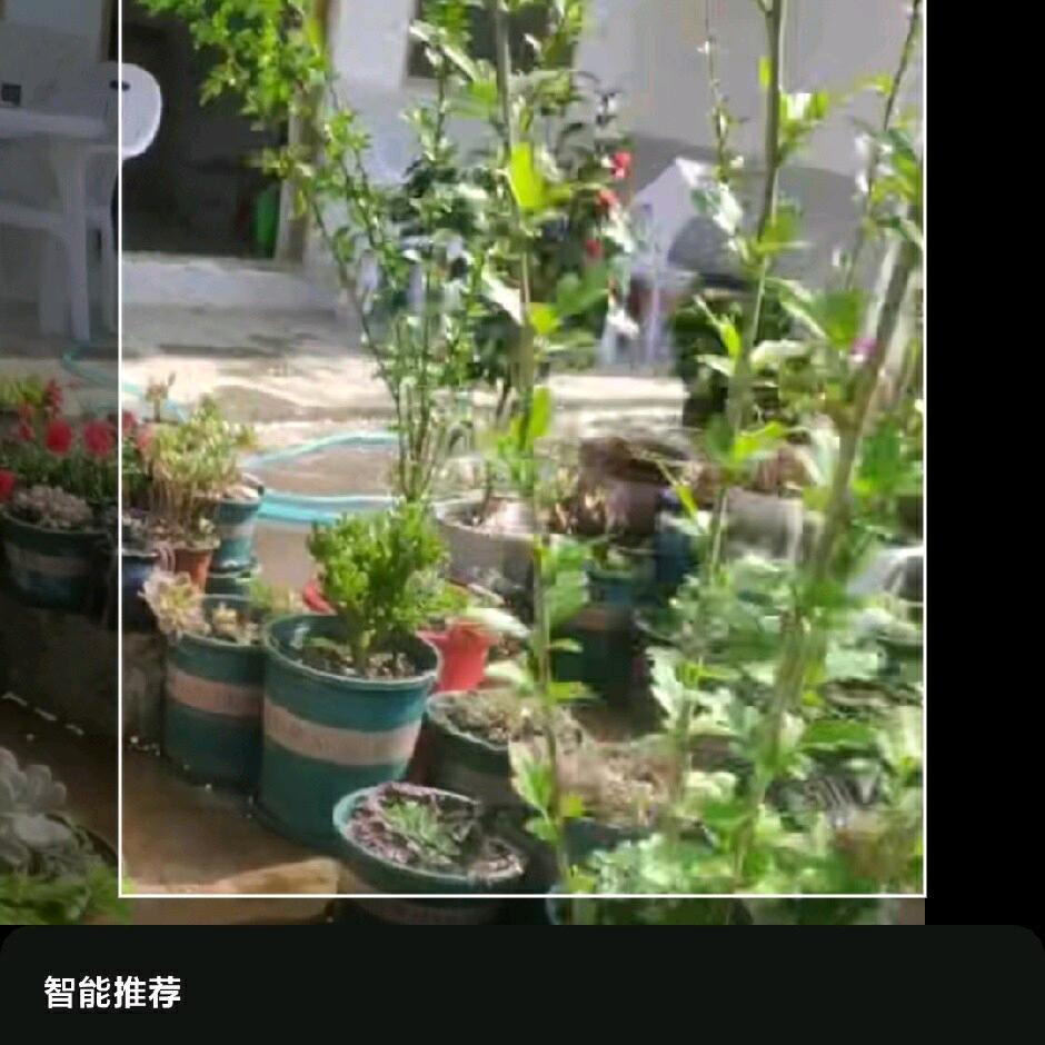 晓燕