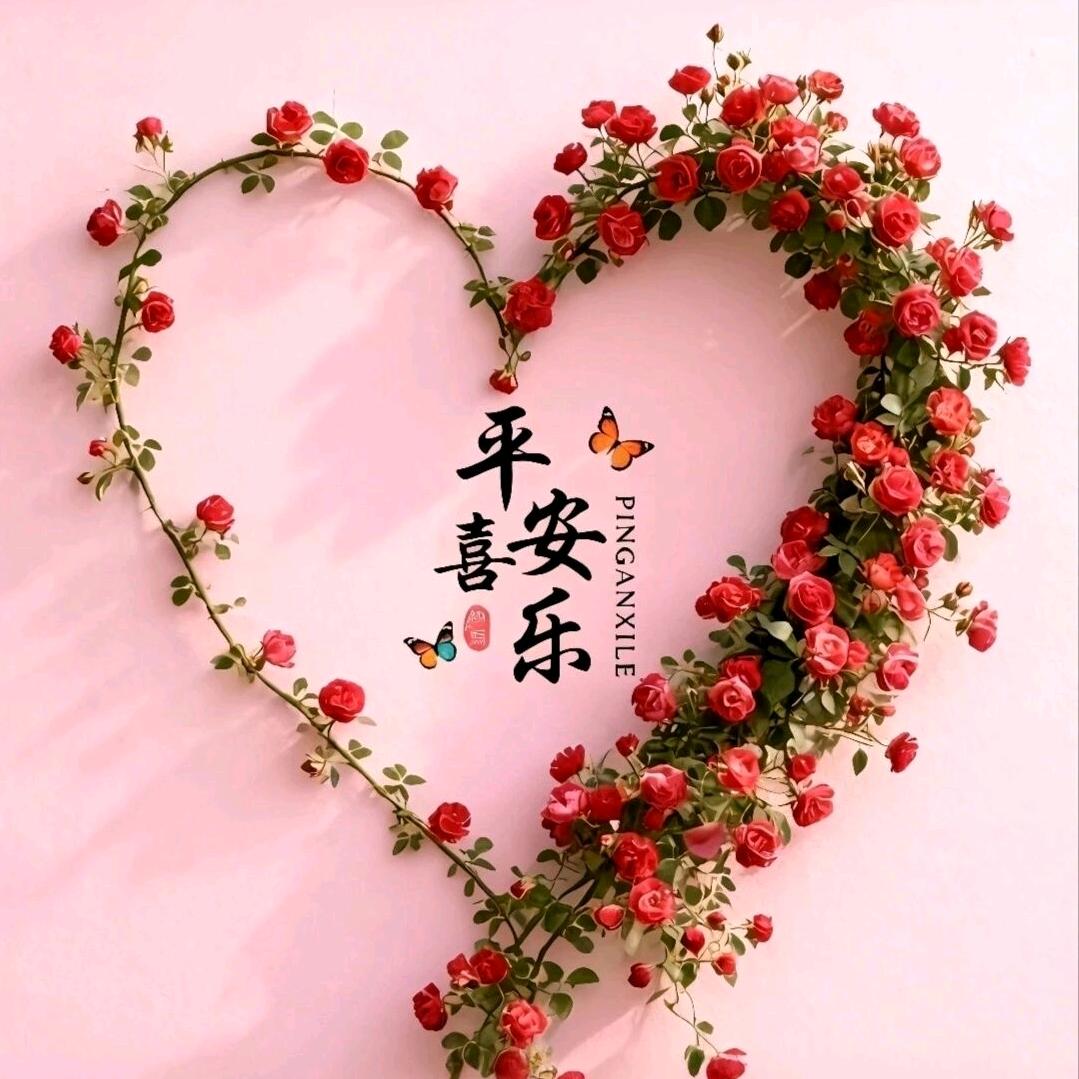 ⚘᭄ 梅 子 °ɞ᭄࿐