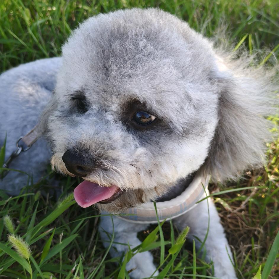 戴眼镜的小姐姐🍀