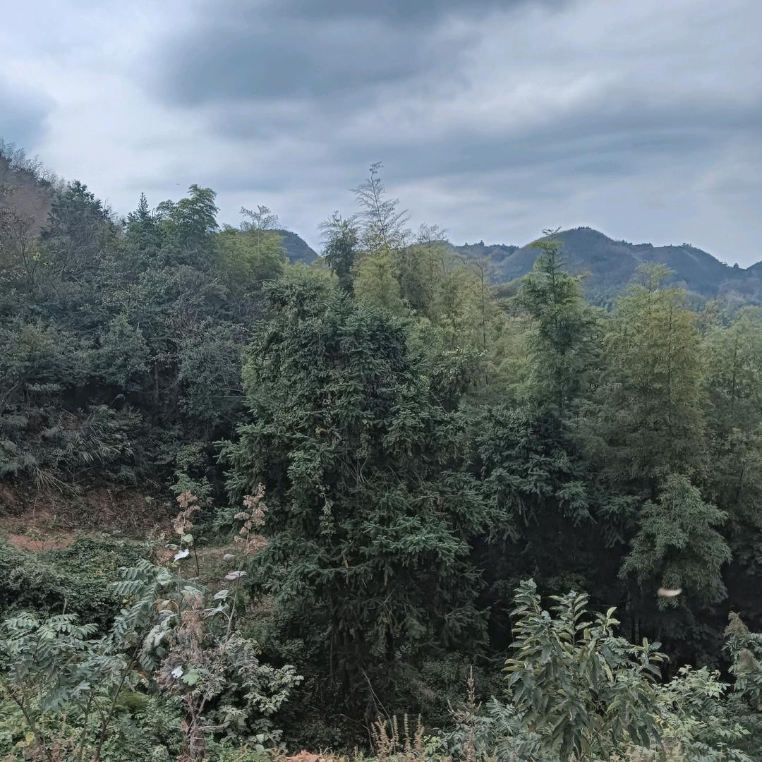 良名