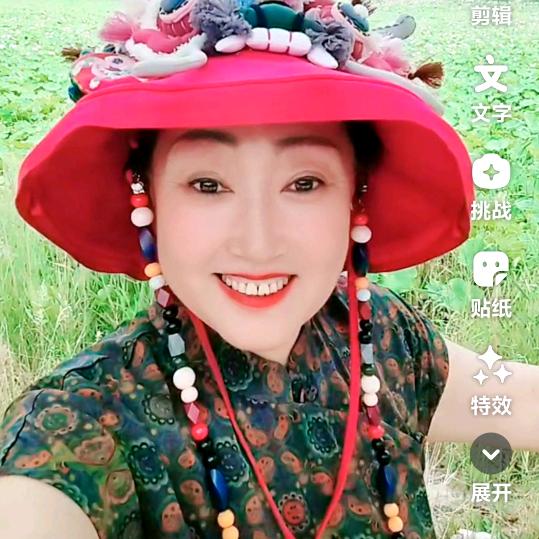 《三秦丽人》
