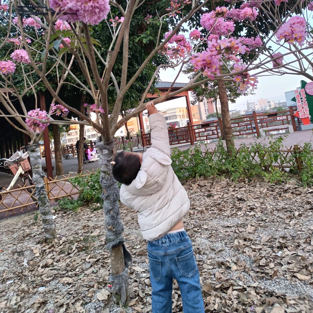 平安就是健康👪