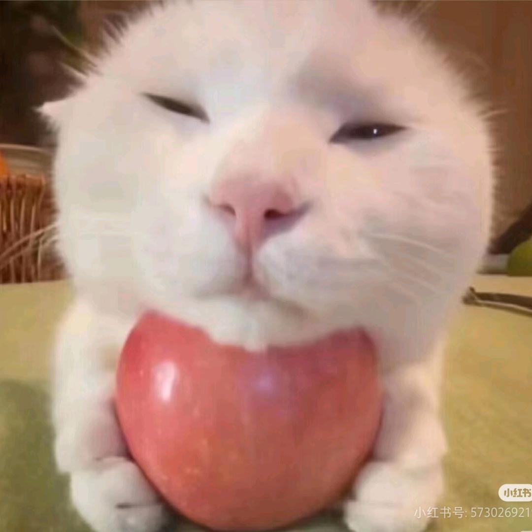 慕鹤
