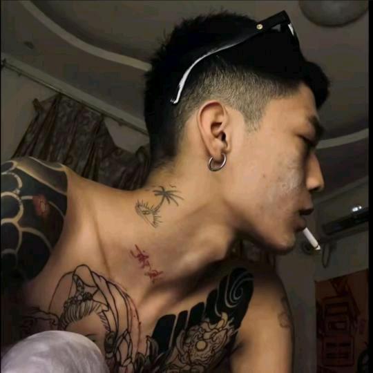 猫的心🖤