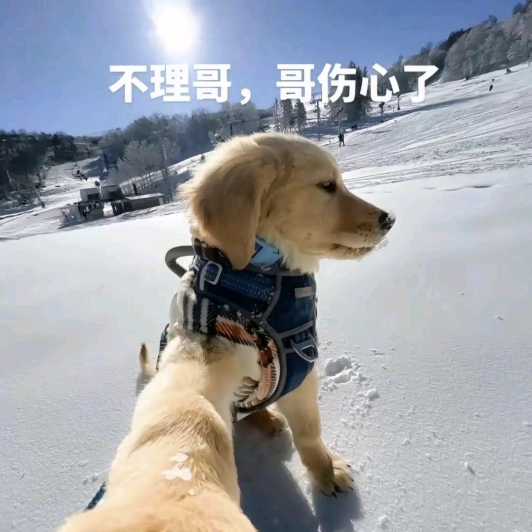 砷