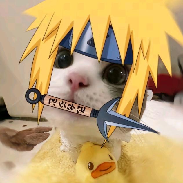 每天都好困