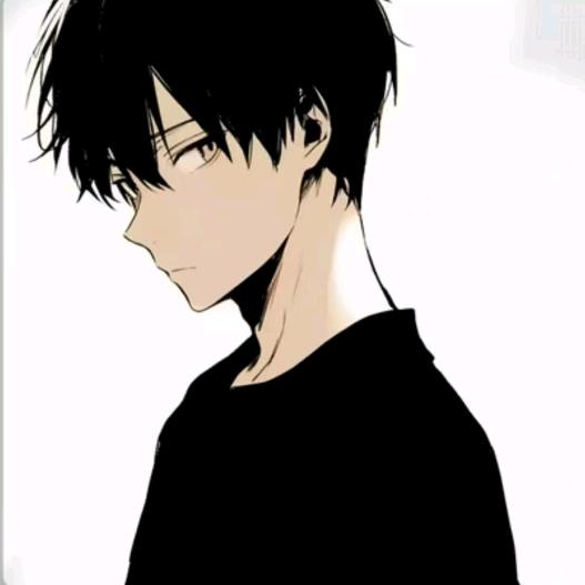 王者荣耀小灰灰