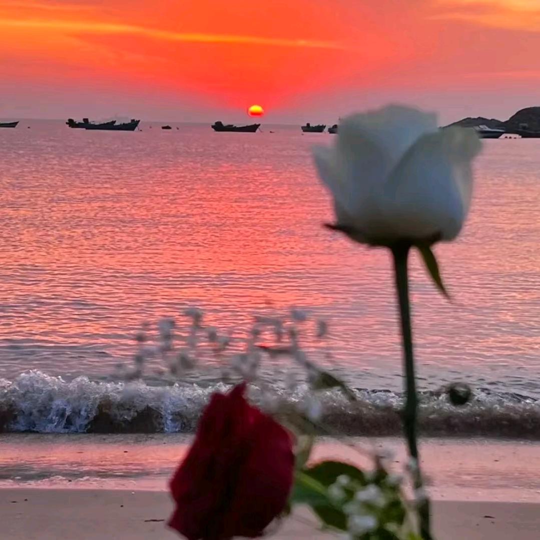 伤痛的心❤️❤️💗