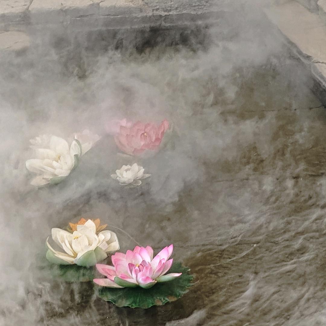 披甲龙龟