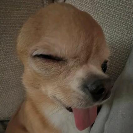 彳亍不彳亍