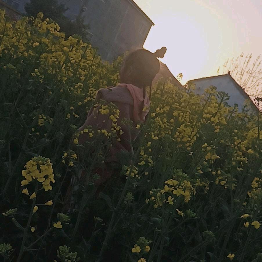 虞见伱