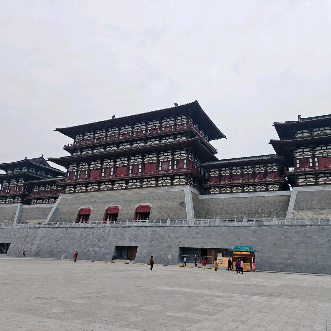 Mr-闵📸（可约拍）