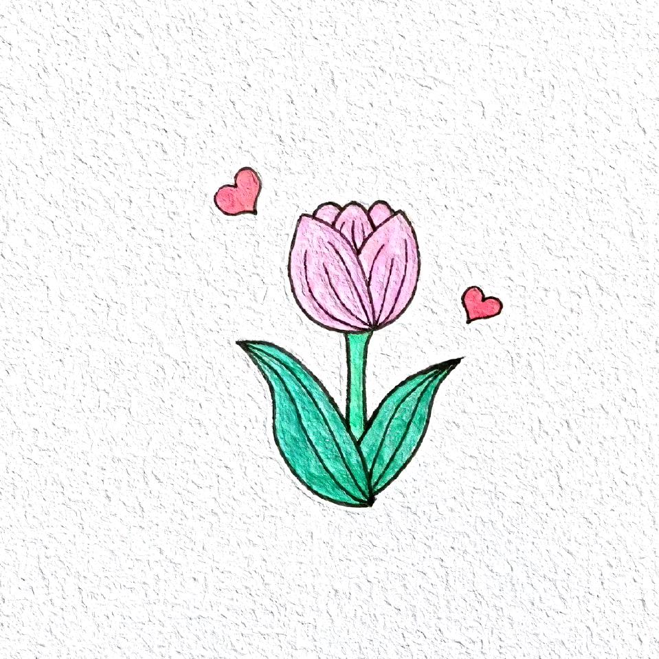 晓培 心月