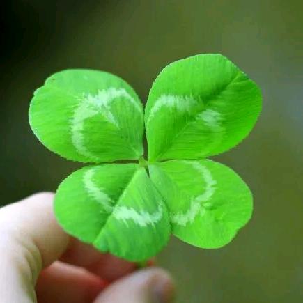 kei.铭¹²ˣ²⁼²³⁺¹⁰⁼³²🥦