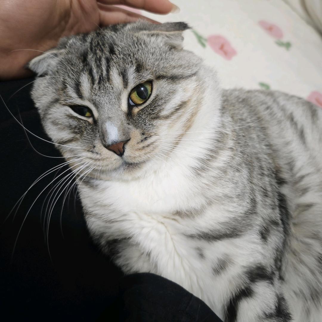 伴世