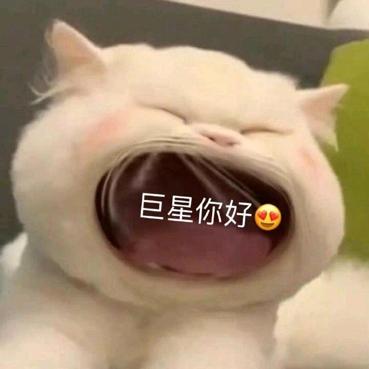 煎饼大王🍉