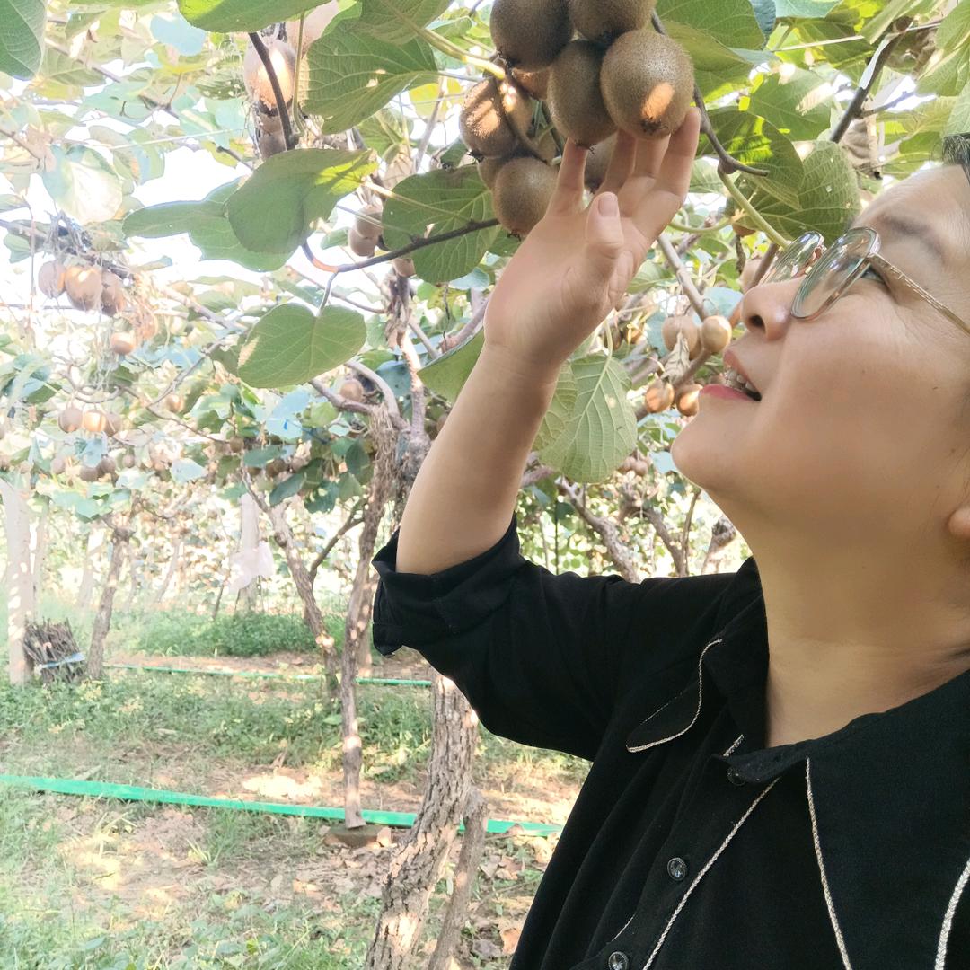琳姐鲜果园1