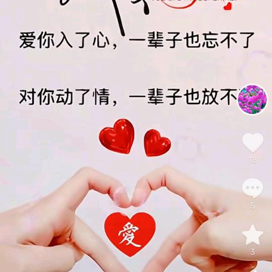 云南小杨🐍🐛